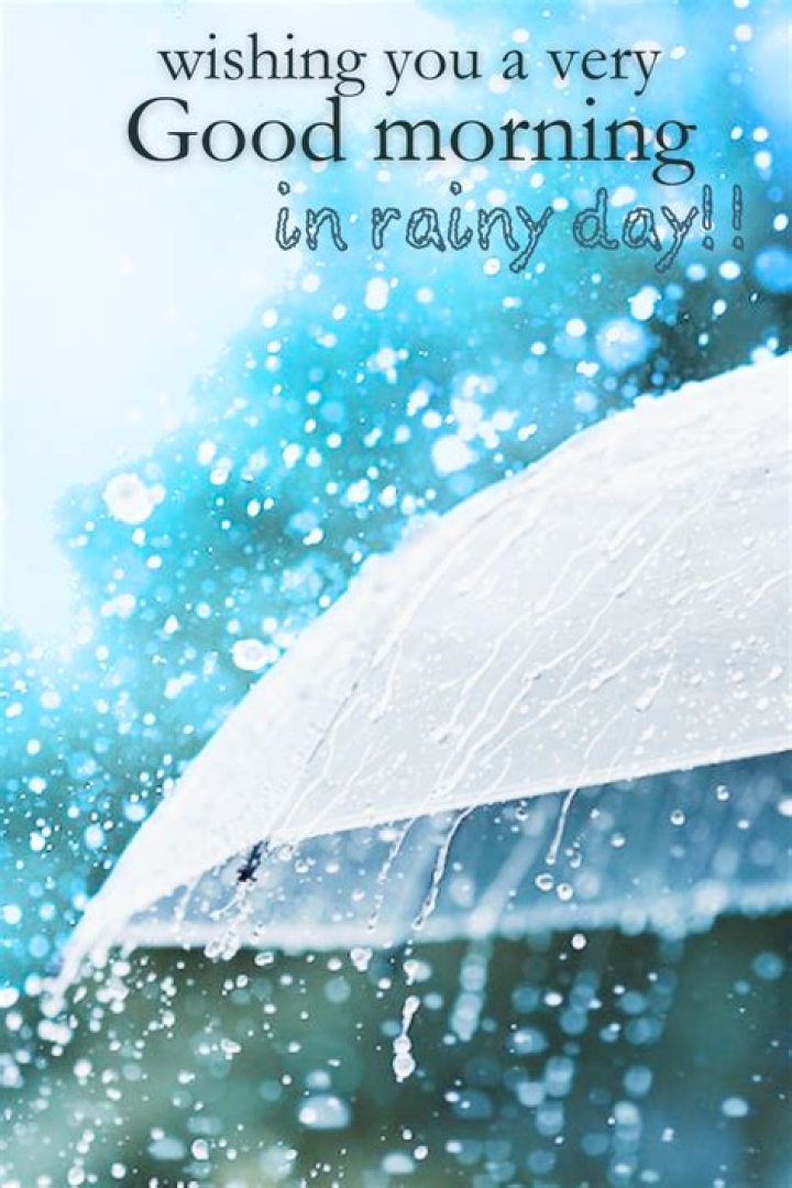 Embracing A Rainy Day Good Morning: Finding Joy In The Drizzle