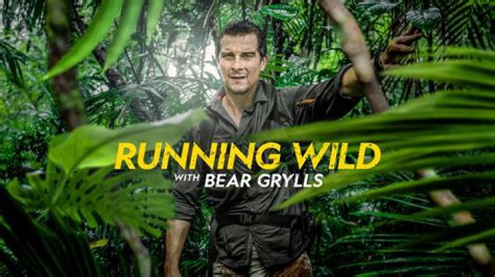 Is Bear Grylls Still Alive? The Truth Revealed